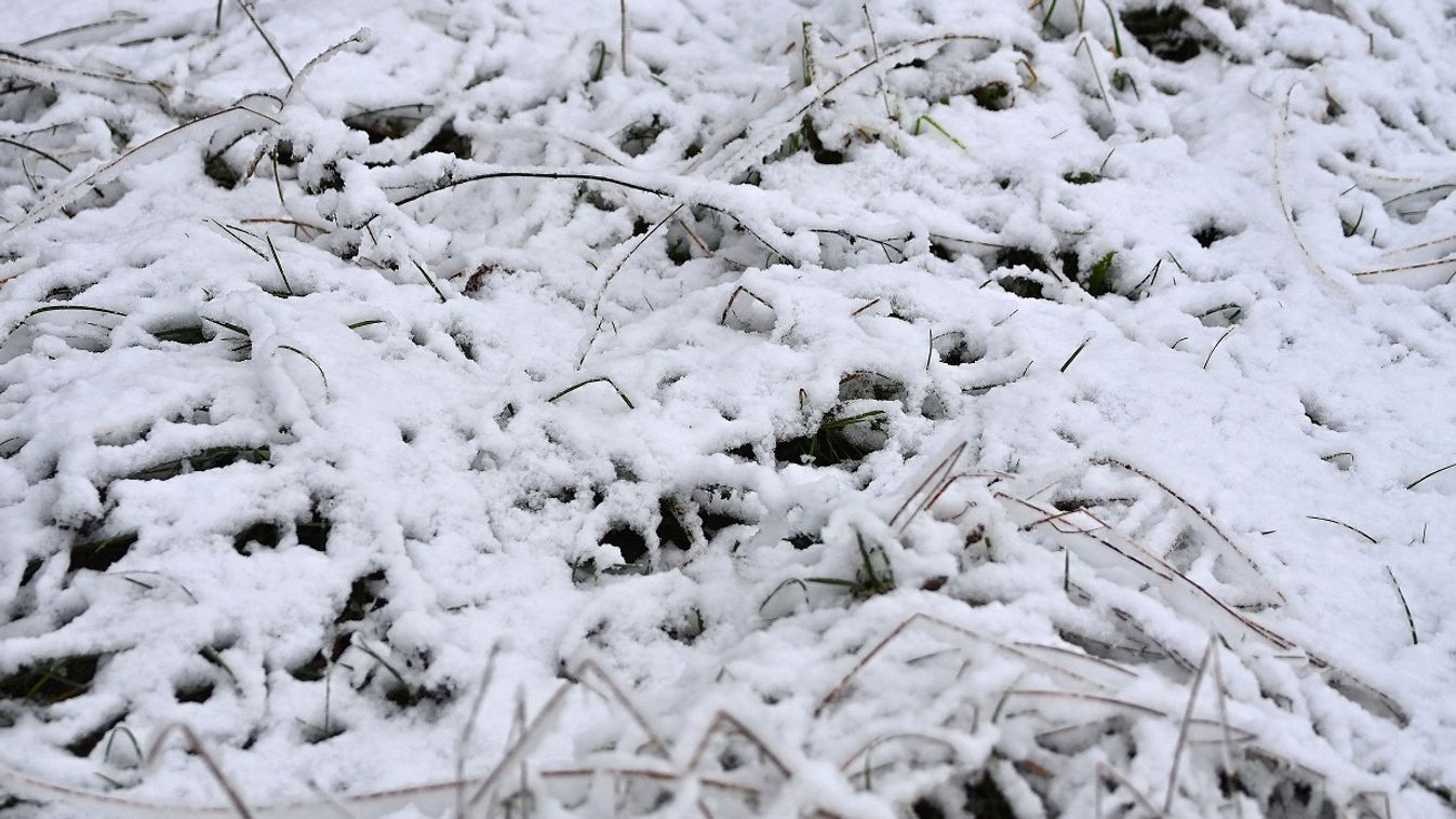 Weather picture: First snow in the lowlands in Haar near Munich on November 20, 2024.