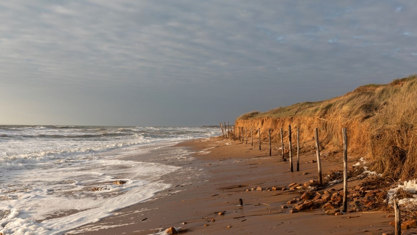 Erosion,Of,The,Beach,And,Dunes,Of,La,Paracou,By