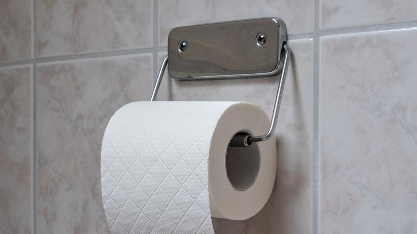 Roll,Of,Toilet,Paper,In,Holder,On,Tiled,Wall