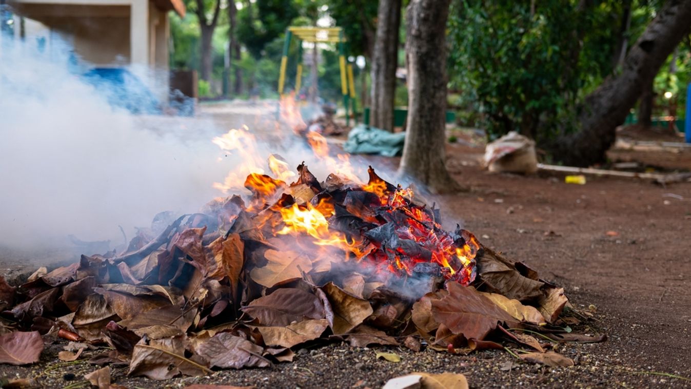 Burning,Piles,Of,Dry,Leaves,In,Garden,Areas,,Apart,From