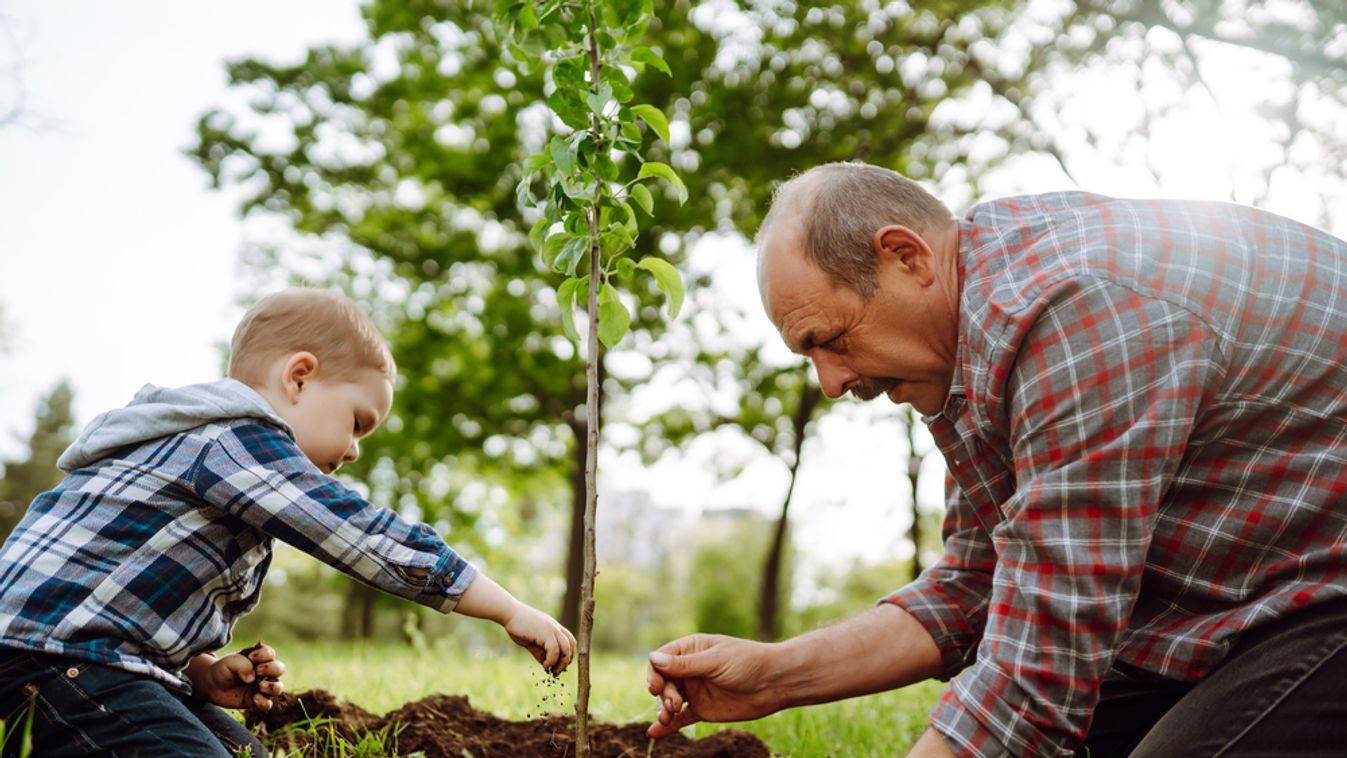 Planting,A,Family,Tree.,Little,Boy,Helping,His,Grandfather,To