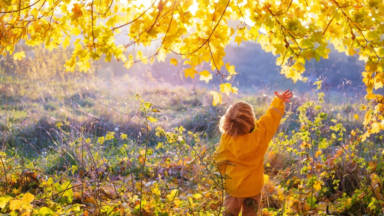 Little,Boy,In,Bright,Yellow,Coat,Lifting,His,Arm,Trying