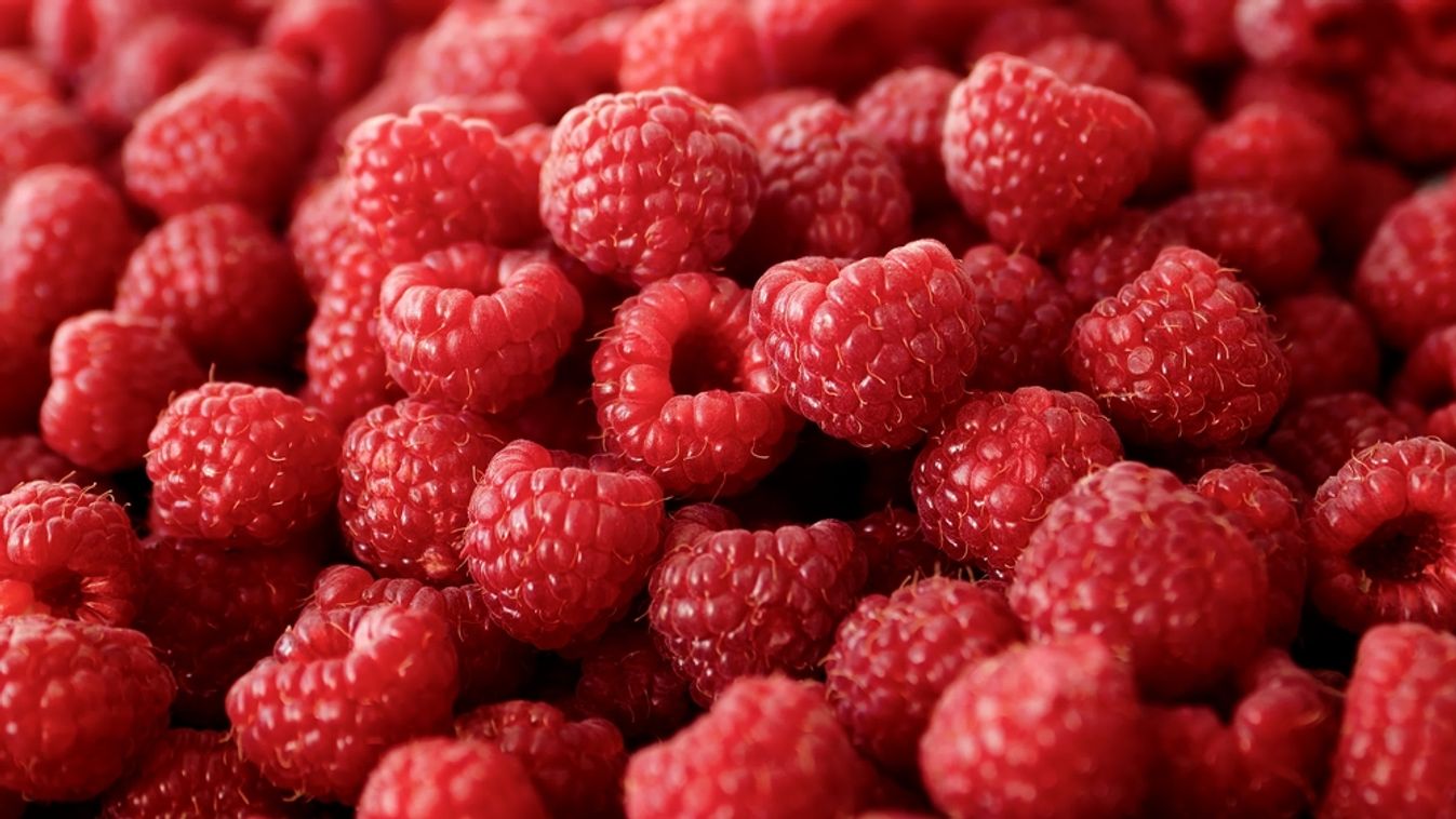 Close-up,Of,Beautiful,Sweet,Large,Fresh,Appetizing,Red,Raspberries,In