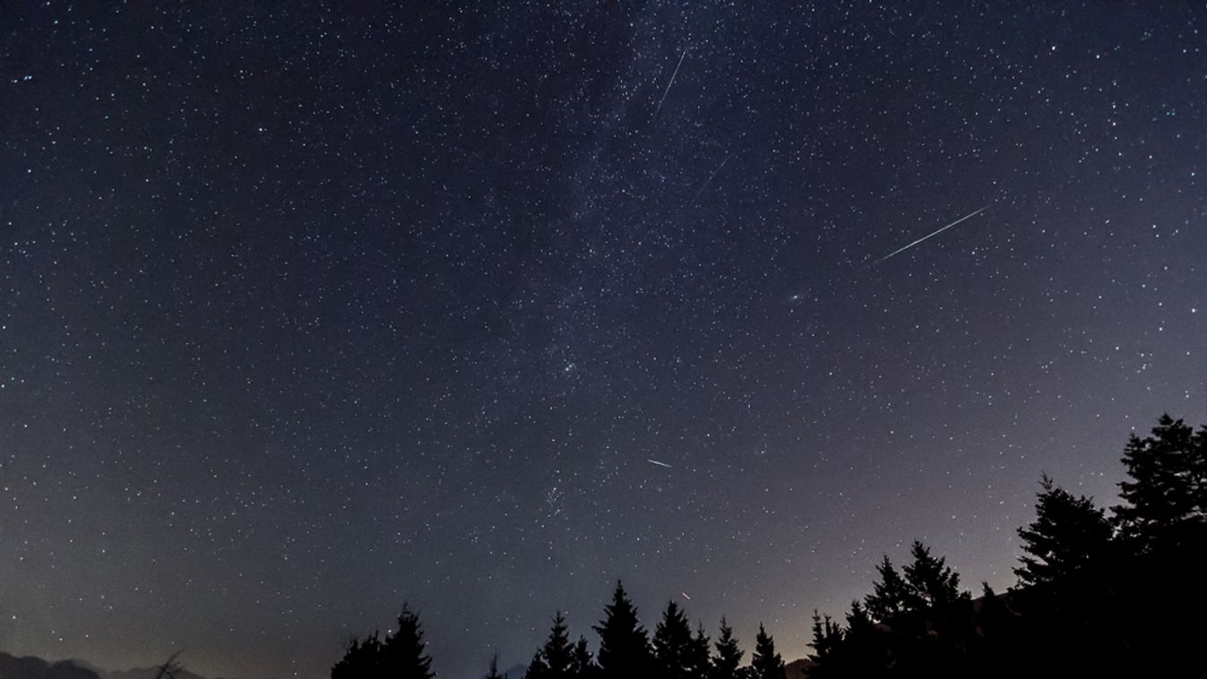 Fallen,Stars,Perseid,Meteor,Shower