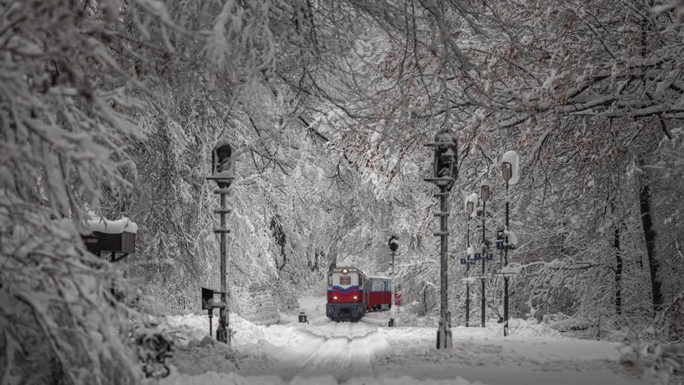 Budapest,,Hungary,-,Beautiful,Winter,Forest,Scene,With,Snowy,Forest