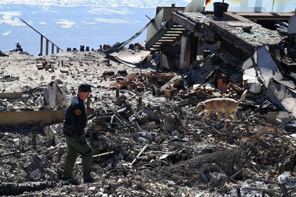 Palisades Fire: K9 Unit search for body remains in ashes of burned houses in Malibu Beach of Los Angeles