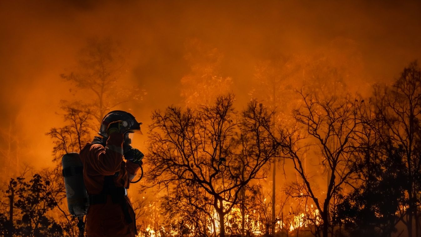 Firefighters,Battle,A,Wildfire,Because,Climate,Change,And,Global,Warming