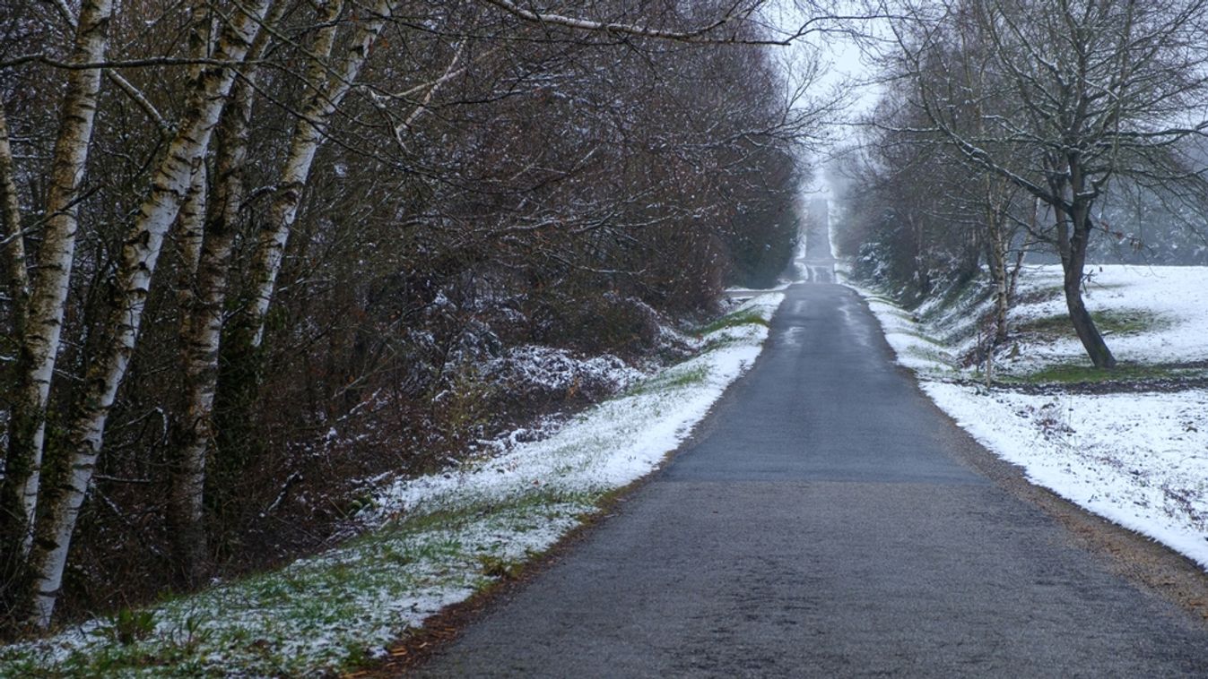 Rural,Road,With,Snow-covered,Edges.,Winter,Time,Concept