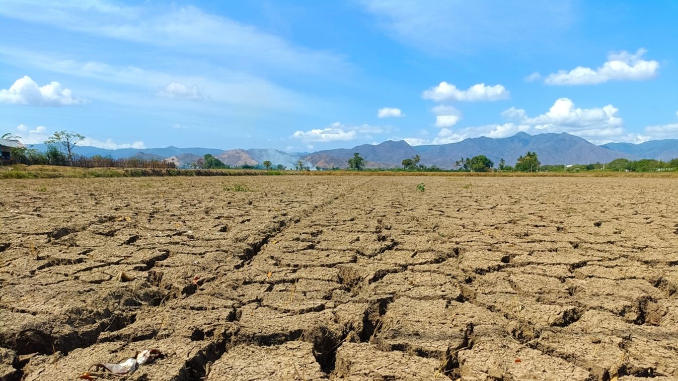 Close-up,Of,A,Parched,,Cracked,Earth,Surface,Illustrating,Severe,Drought