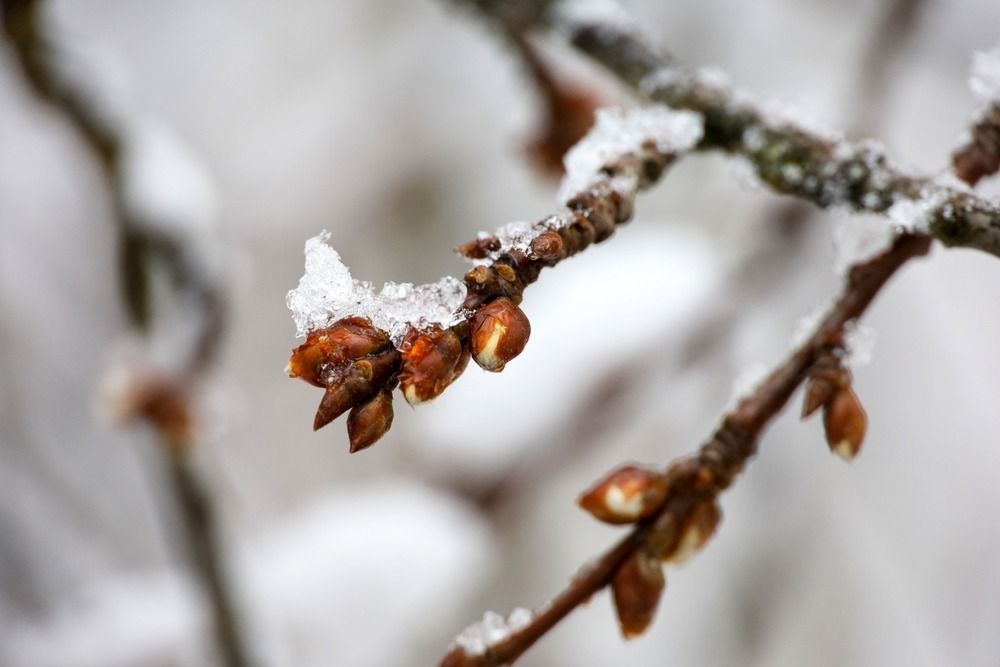 A Mohos-töbör egyedi mikroklímája segítette a hőmérsékleti rekord születését.