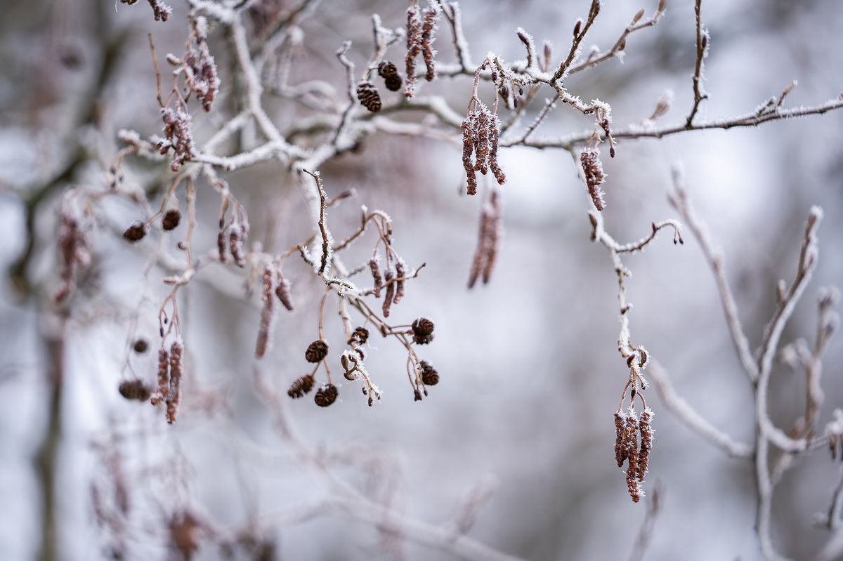 Rekordértékkel sújtott le az országra a hajnali fagy. Zabarban -15,6°C-ot mértek