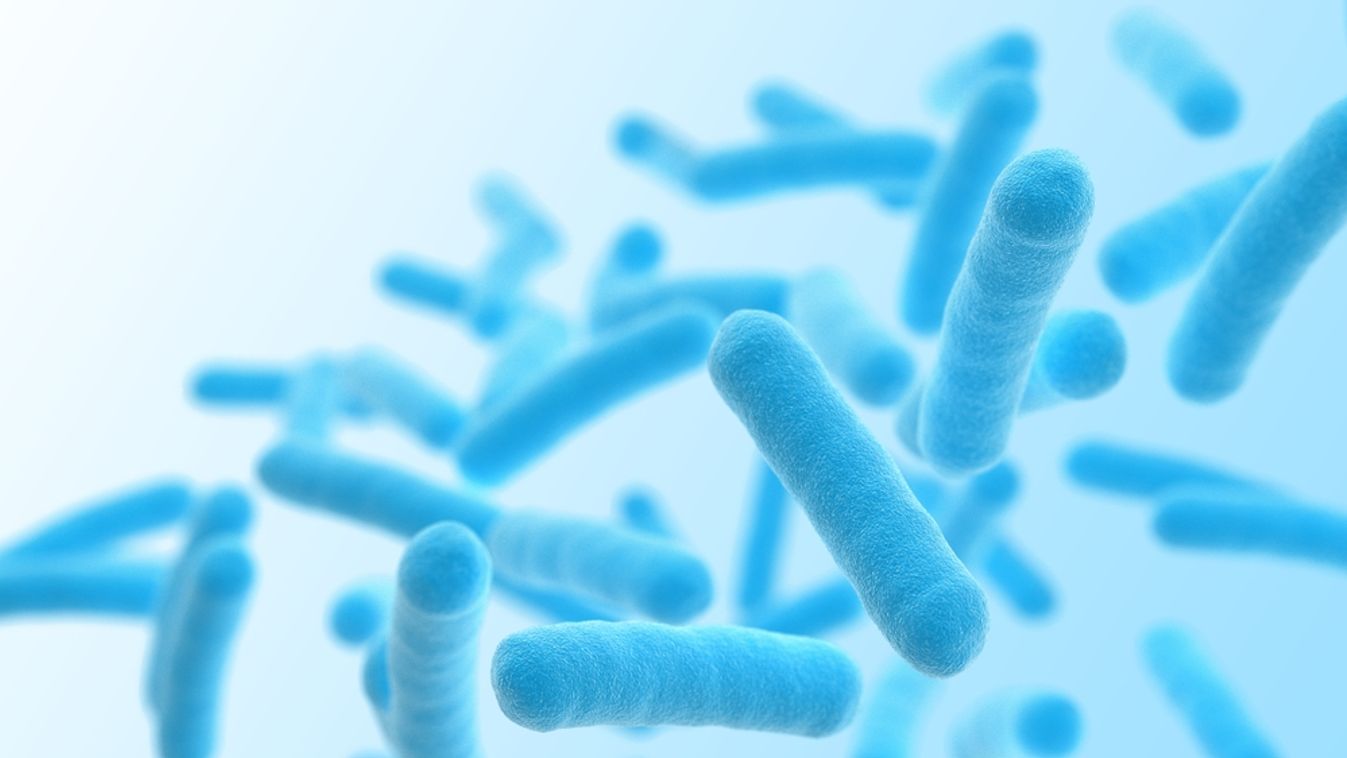 Bioakkumulátor, mely baktériumokkal működik és önmagát tölti 