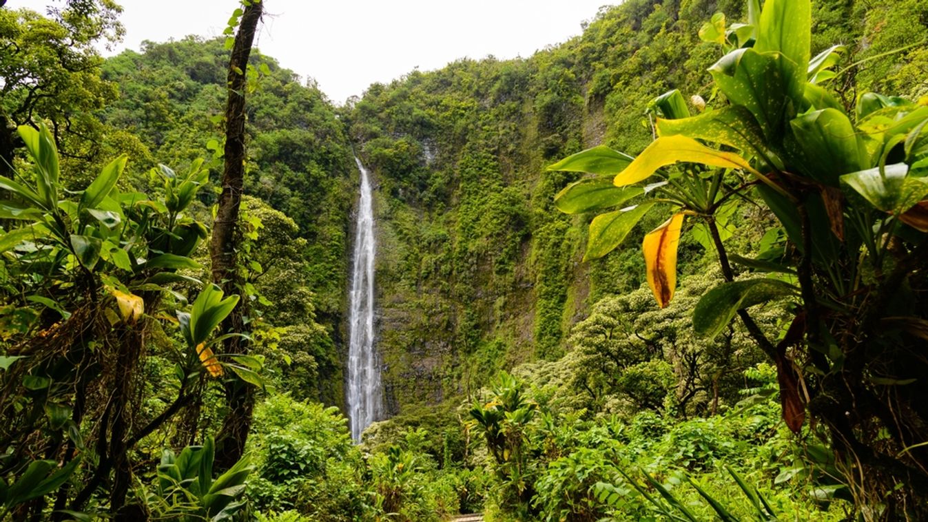 Hawaii a turizmussal fizetteti meg a környezetvédelmet 