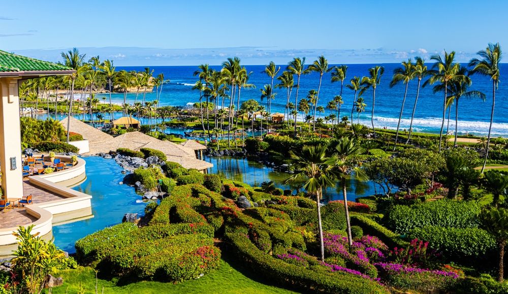Hawaii a környezetvédelemre igyekszik pénzt keresni.