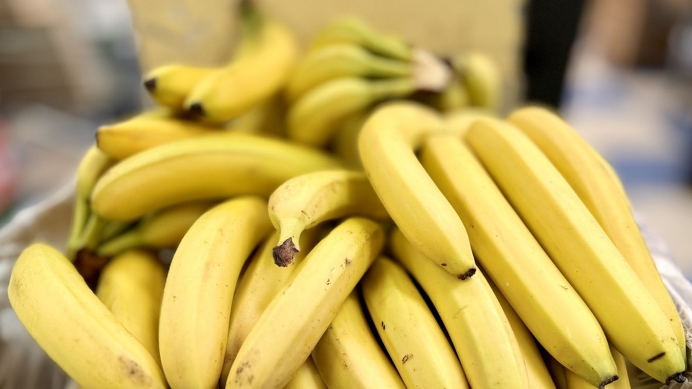 Banán nélkül leszünk kénytelenek élni? 