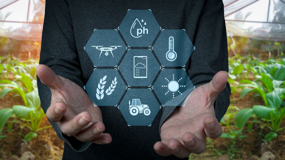 Az mesterséges intelligencia a környezetvédelem új barátja? Sokkoló felfedezést tettek vele