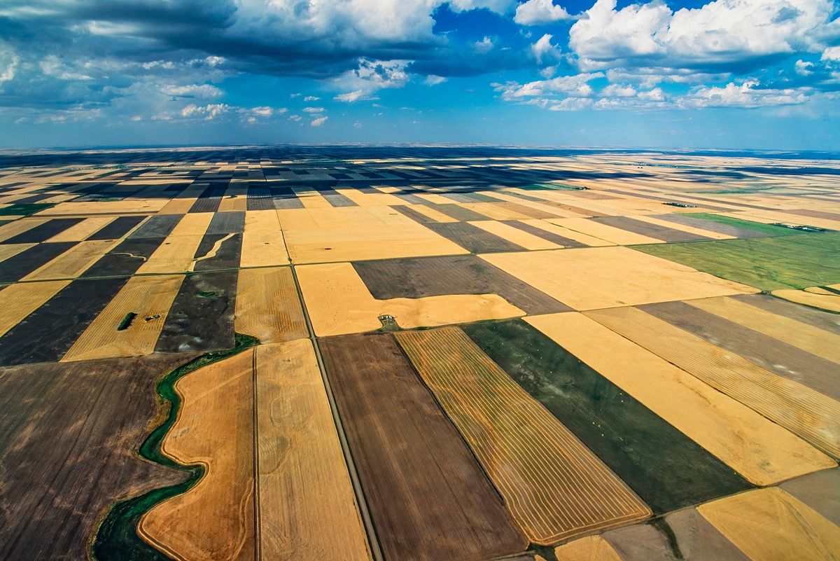 Termőföldek a kanadai Saskatchewan tartományban