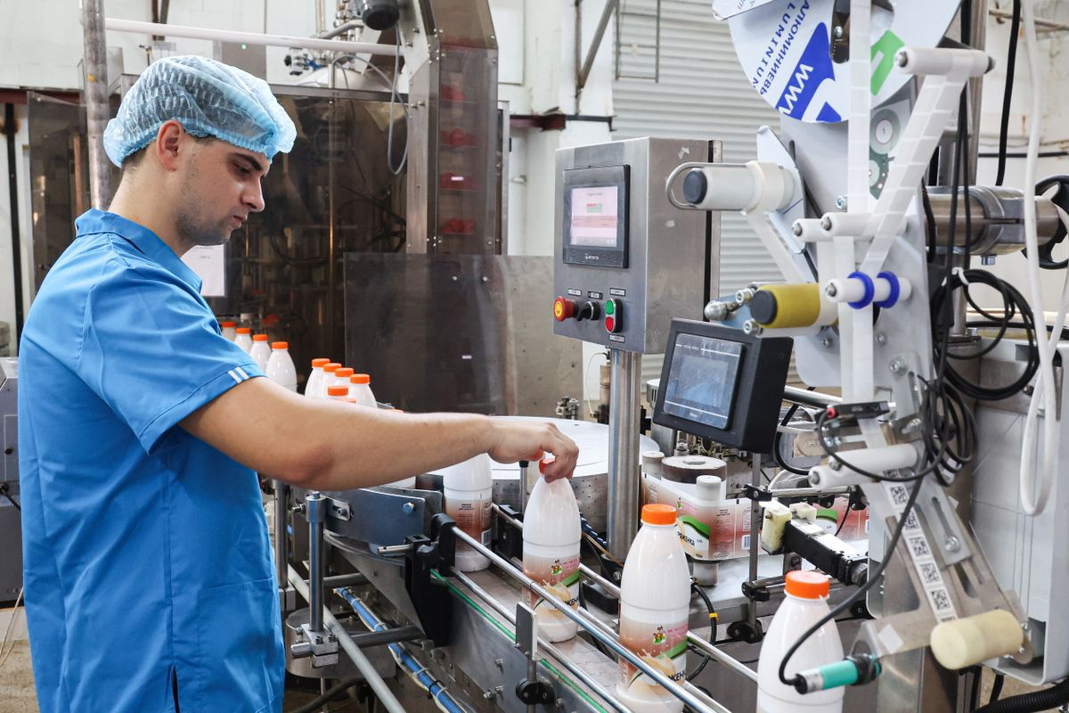 Dairy Production In Melitopol, Russia