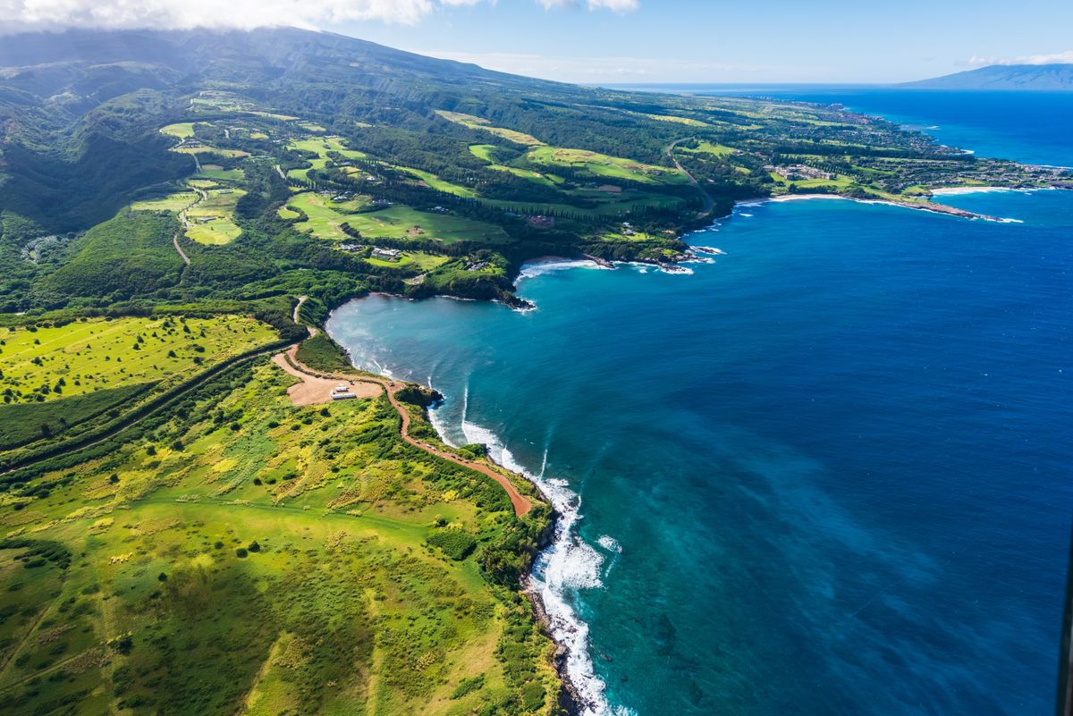 Egyetlen bogár is nagy veszélyt jelent Hawaii jövőjére. 