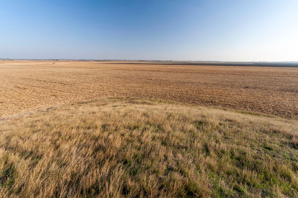 The,Great,Hungarian,Plain,On,An,Autumn,Day,Near,The