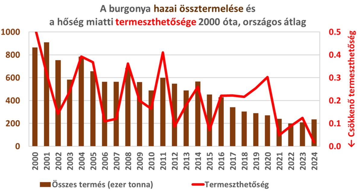A grafikonon látszik, mennyit csökkent a burgonya hazai össztermelés 2000 után