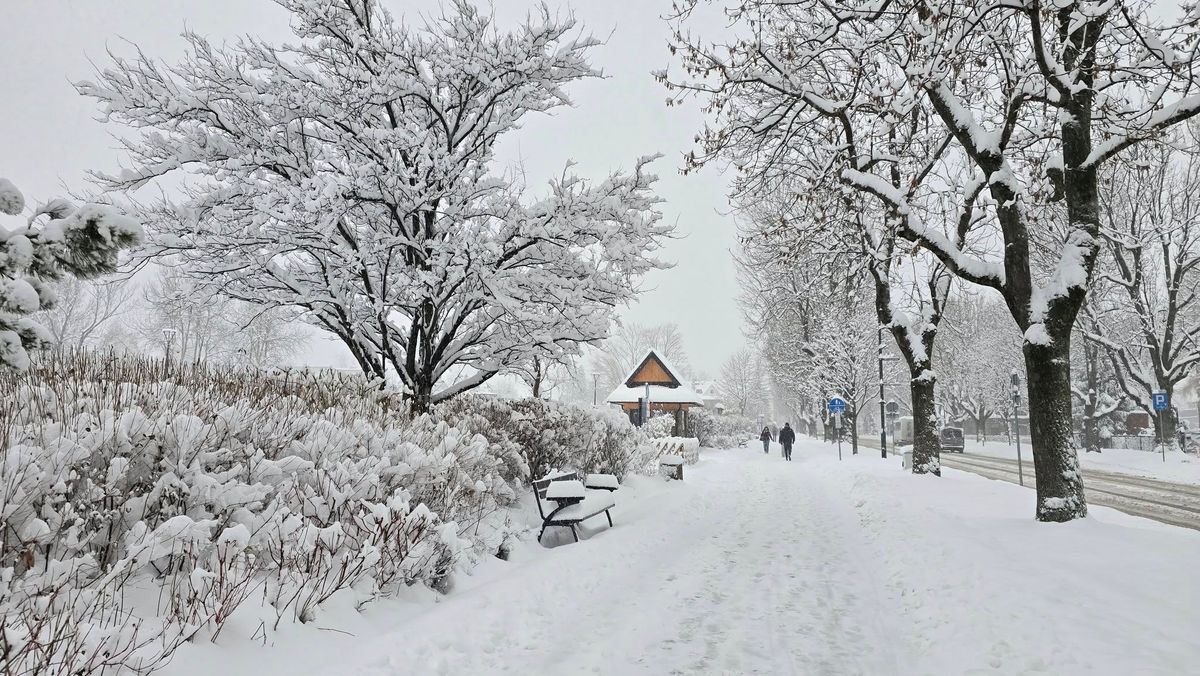 Gyönyörű, hófödte táj Zakopane városában
