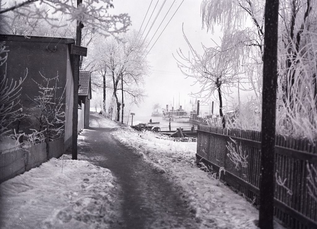 A Sió torkolata 1916-ban – A fotón utasszállító és vontató gőzhajók láthatóak.