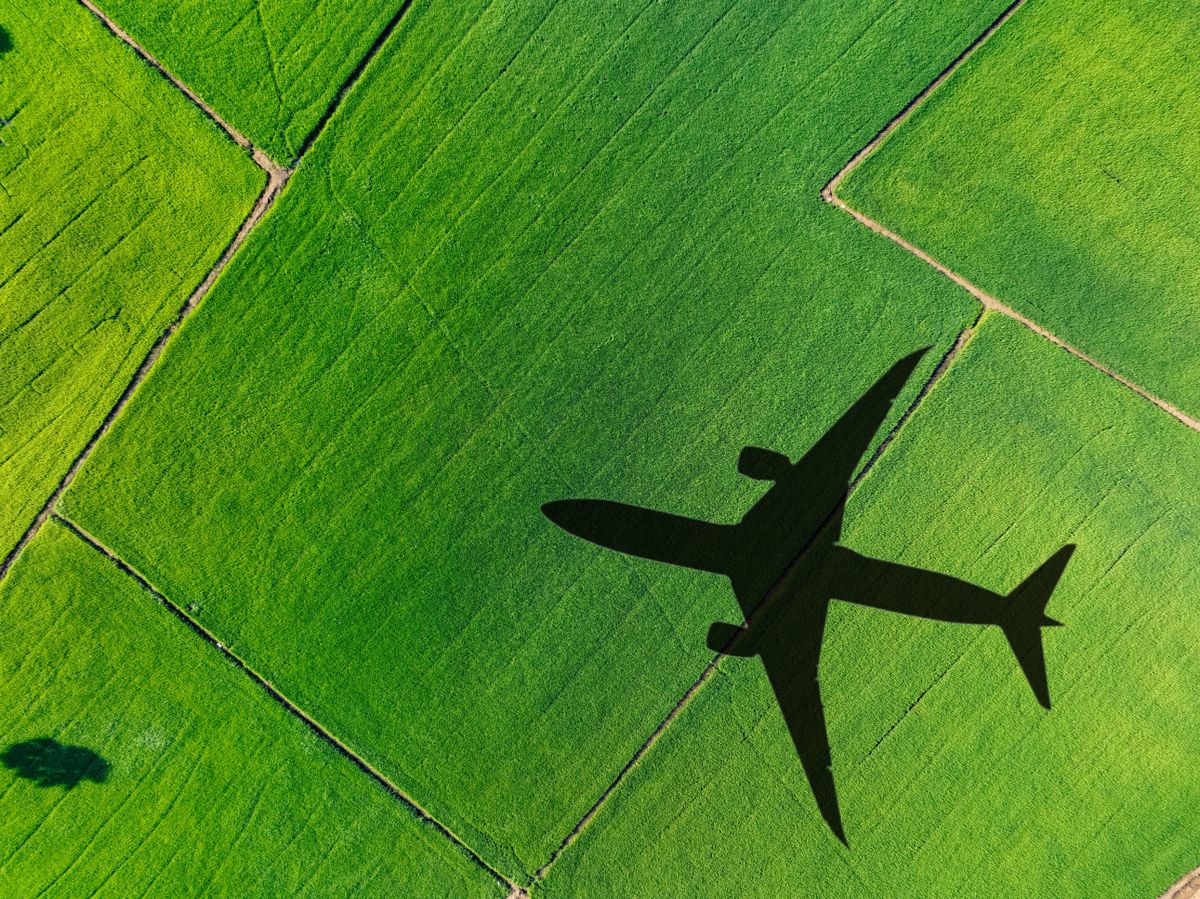 A turisták belépőket, kuponokat kaphatnak, ha zöld módon gondolkodnak.