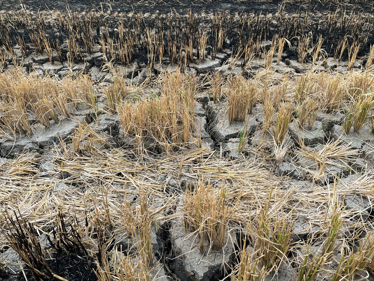 Az El Nino sokat ront az átlaghőmérsékleten, és ezzel az emberek egészségén is.