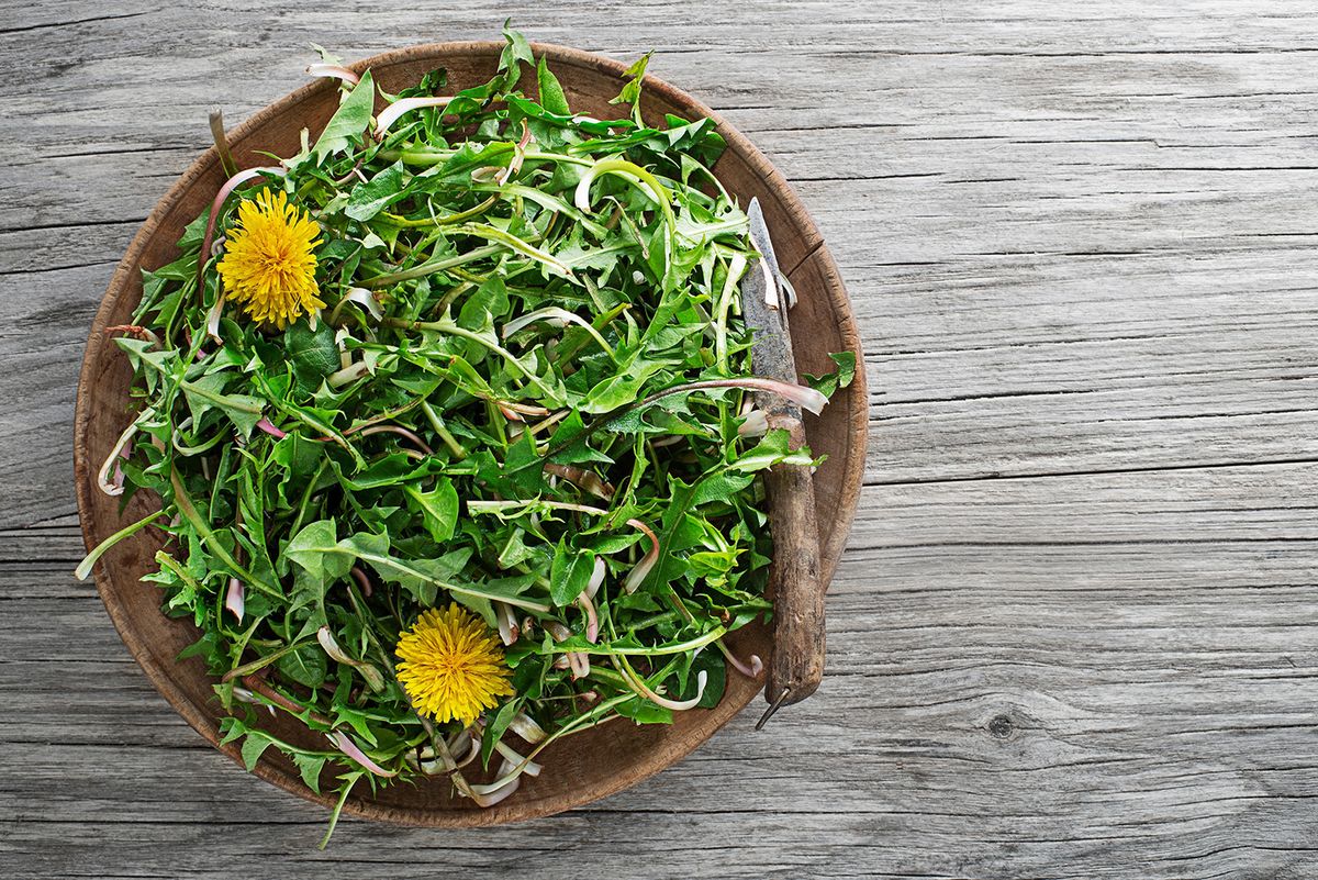 Dandelion.,Picked,Fresh,Dandelion,Leaves.