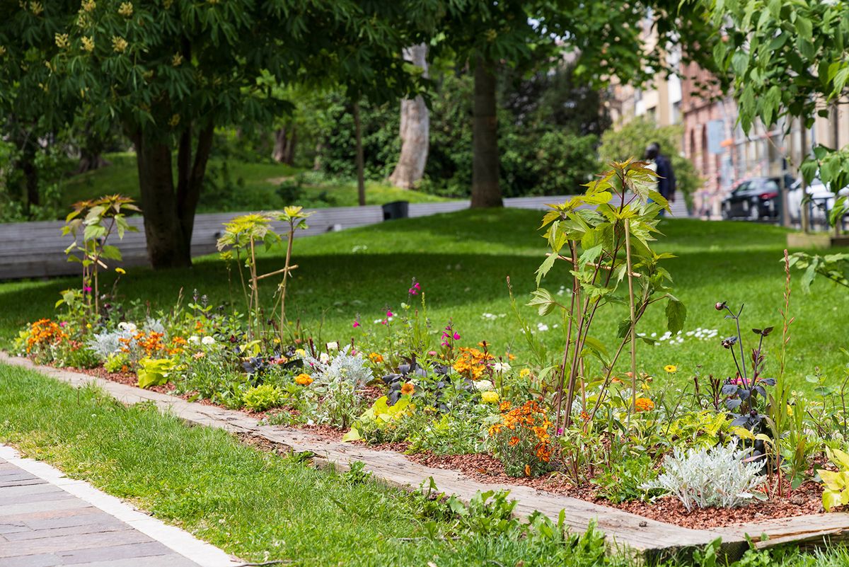 Városi méhlegelő panelház előtt vadvirágokkal