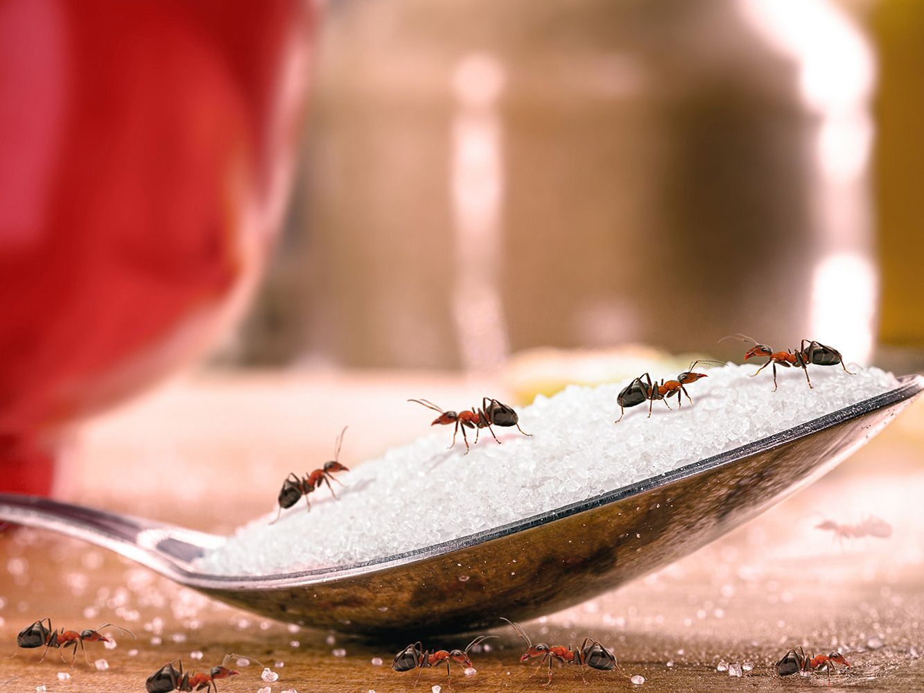 undefined