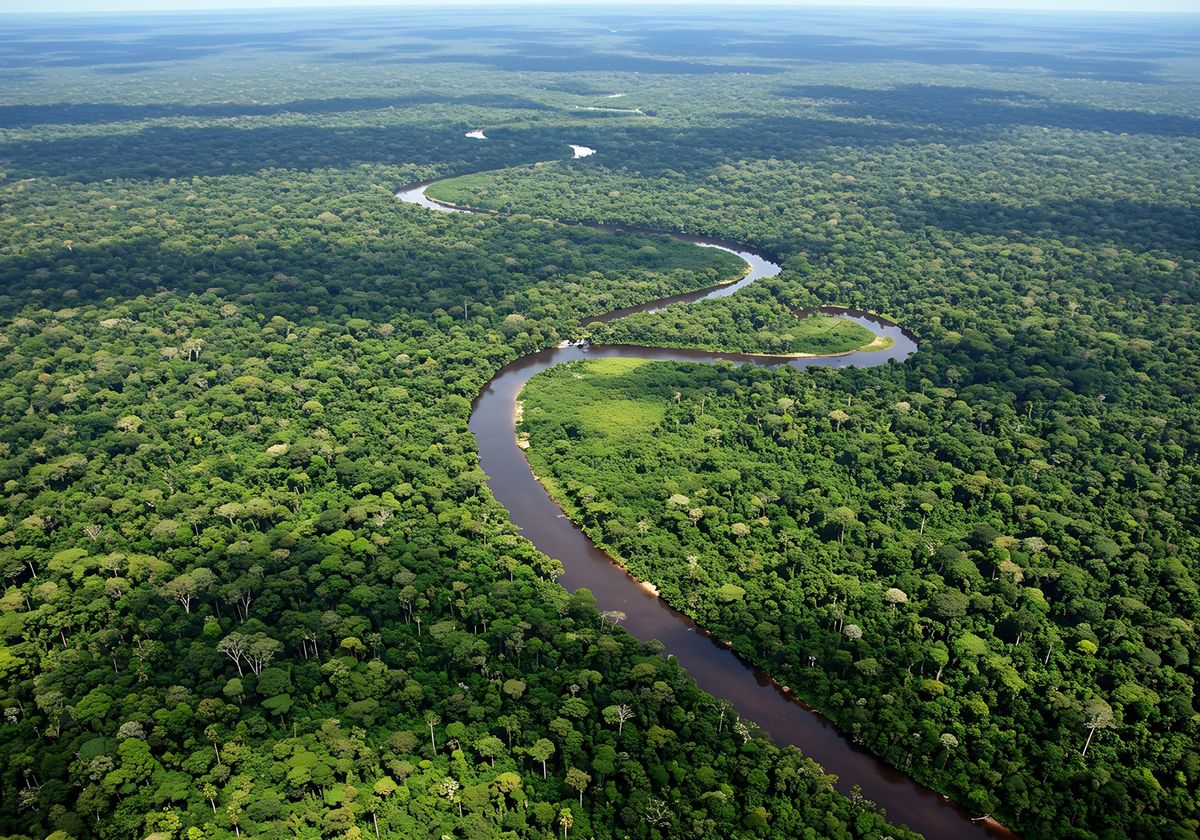 Amazonas folyó kanyarog a trópus esőerdőben.