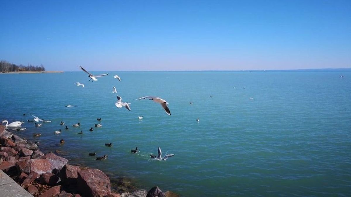 Kedvező fordulat várható a Balatonnál, de az időjárás még közbeszólhat