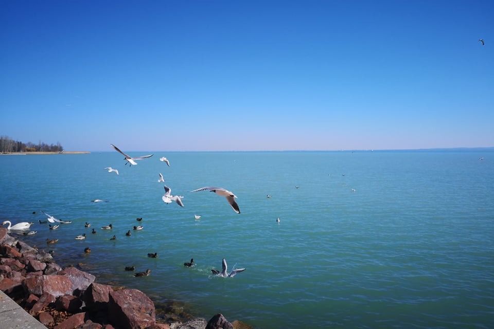 Kedvező fordulat várható a Balatonnál.