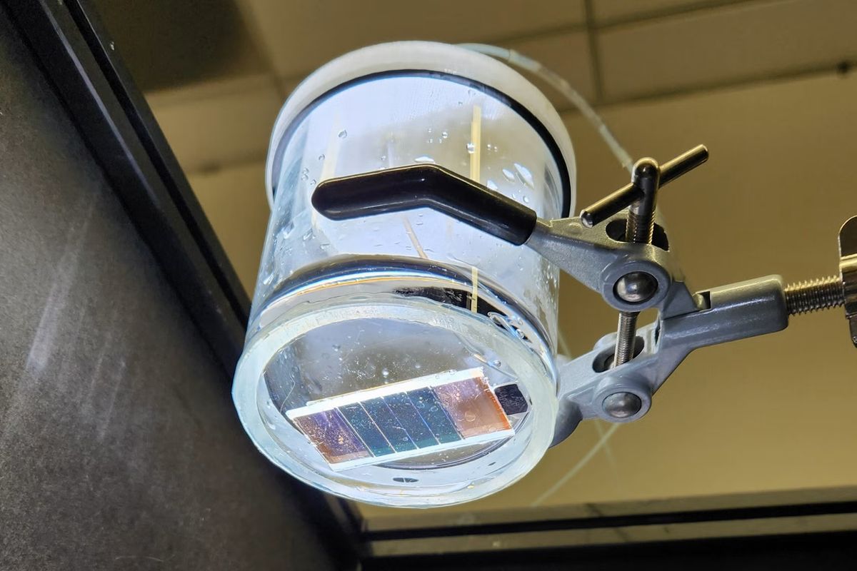 A mesterséges levél működésének tesztje laboratóriumi körülmények között