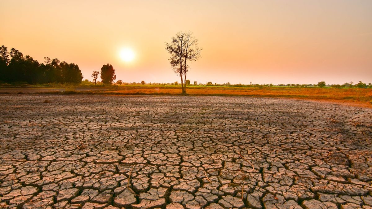 Hivatalosan is itt van az El Niño – soha nem volt még olyan durva, mint most lesz