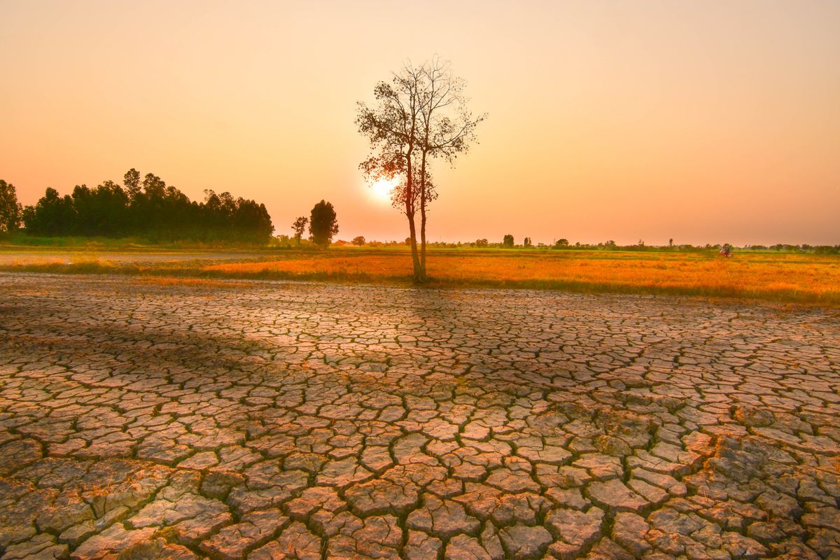 Forróság a pusztán az El Niño alatt.